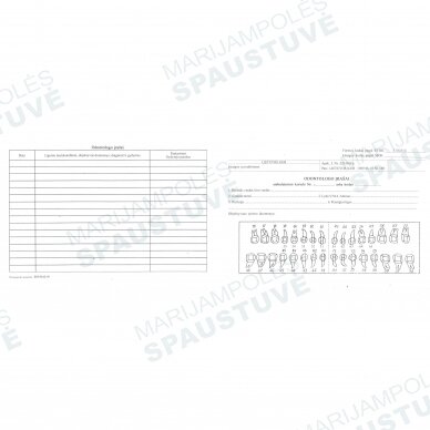 Odontologo įrašai 170g/m2 1